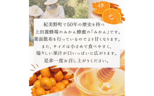 【ご家庭用】数量限定 和歌山県産 みかん蜂蜜養蜂家さんが作ったみかん。S,SSサイズ混合 9.8kg 【2024年11月下旬～12月末までに順次発送】/ みかん ミカン  温州みかん 紀美野町 和歌山 甘い 小さい 小粒 数量限定【twn019】