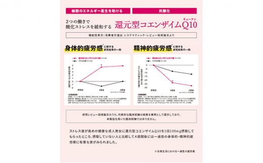 ＜機能性表示食品＞DHC コエンザイムQ10還元型 30日分12個セット