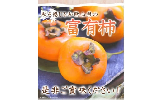 【ご家庭用わけあり】和歌山秋の味覚　富有柿　約3．５ｋｇ　「2025年11月上旬以降発送予定」【UT51】