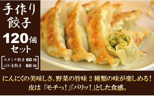 特製！手作り餃子セット（スタミナ餃子60個＋ばか旨餃子60個）