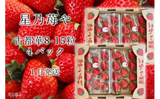 先行予約 奈良県ブランドイチゴ古都華4パック 2025年1月発送  // /苺 いちご イチゴ 古都華 奈良 奈良県 広陵町 生産者直送 直送 厳選 数量限定 旬 フルーツ 甘い 完熟 果物 星乃苺や