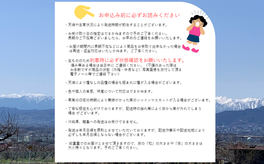 [No.5657-3744]シャインマスカット約4～7房（3kg以上）《信州ゆたか農園》■2023年発送■※10月上旬頃～10月下旬頃まで順次発送予定