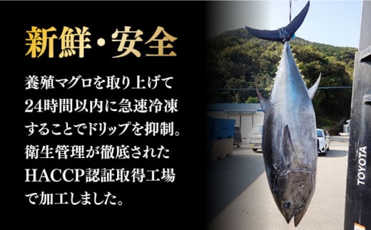 【全3回定期便】【訳あり】本マグロ切り落とし(約700g) 長崎県/長崎県漁業協同組合連合会 [42ZZAC013] マグロ 刺身 長崎 養殖