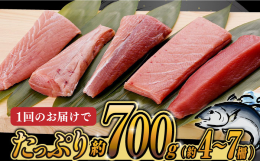 【全3回定期便】【訳あり】本マグロ切り落とし(約700g) 長崎県/長崎県漁業協同組合連合会 [42ZZAC013] マグロ 刺身 長崎 養殖