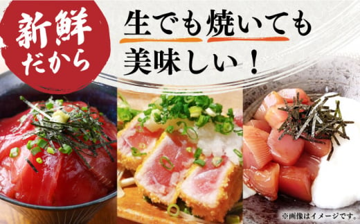 【全3回定期便】【訳あり】本マグロ切り落とし(約700g) 長崎県/長崎県漁業協同組合連合会 [42ZZAC013] マグロ 刺身 長崎 養殖