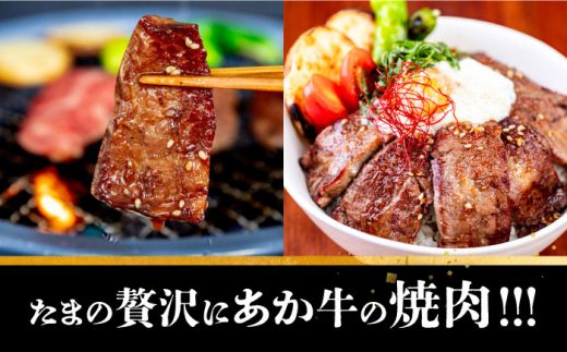 長崎和牛 あか牛 焼肉用 500g《対馬市》【株式会社Tsukushi】 対馬 牛 和牛 焼肉 冷凍配送 [WCR005]