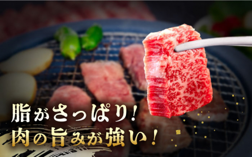 長崎和牛 あか牛 焼肉用 500g《対馬市》【株式会社Tsukushi】 対馬 牛 和牛 焼肉 冷凍配送 [WCR005]