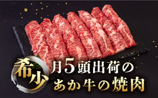 長崎和牛 あか牛 焼肉用 500g《対馬市》【株式会社Tsukushi】 対馬 牛 和牛 焼肉 冷凍配送 [WCR005]