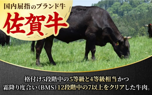 すき焼き しゃぶしゃぶに！佐賀牛 赤身とバラ肉の切り落とし 600g（300g×2P） 吉野ヶ里町/NICK’S MEAT [FCY013]