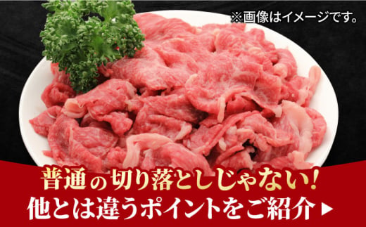 すき焼き しゃぶしゃぶに！佐賀牛 赤身とバラ肉の切り落とし 600g（300g×2P） 吉野ヶ里町/NICK’S MEAT [FCY013]