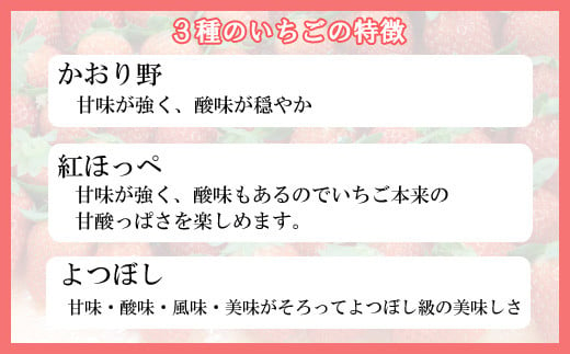 冷凍完熟いちご 1kg【 苺 イチゴ 島根県 安来市産】
