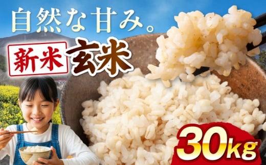 めばるん12 お米　令和2年　愛媛県産松山三井　玄米　30㎏ 令和7年産】【新米】玄米 30kg 愛媛県大洲市/よっちゃん農園