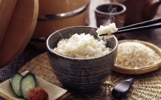 令和7年産】【新米】玄米 30kg 愛媛県大洲市/よっちゃん農園