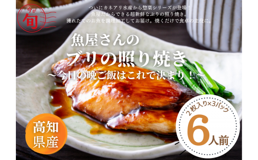 【四国一小さなまち】 ★カネアリ水産★ 今日の晩御飯 ～ 魚屋が作るブリの照り焼き ～　2枚×3パック