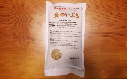 《先行予約》令和5年10月中旬から順次発送 令和5年産 金のいぶき 1.5kg×3袋