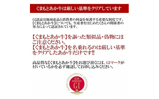 024-001 熊本県産和牛 くまもとあか牛100%使用 肉屋の煮込みハンバーグ 120g×8個