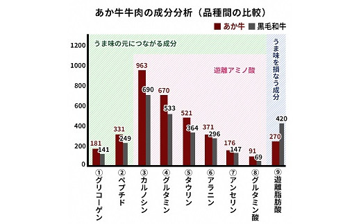 024-001 熊本県産和牛 くまもとあか牛100%使用 肉屋の煮込みハンバーグ 120g×8個