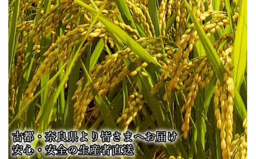 広陵町産ヒノヒカリ白米10kg 私たちも食べている安心安全のヒノヒカリを皆様にお届け /// 米 白米 10kg ヒノヒカリ ひのひかり