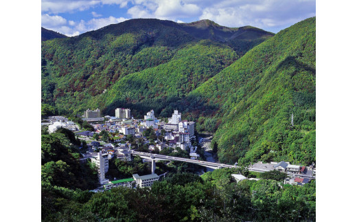 会津芦ノ牧温泉宿泊補助券 15,000円分｜東北 福島県 会津若松 旅行 クーポン 利用券 [0081]