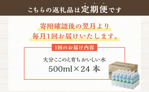 【6ヶ月定期便】大分 ここのえ育ち おいしい 水 500ml×24本 合計144本