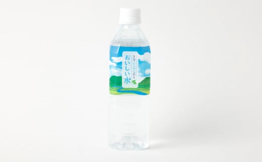 【6ヶ月定期便】大分 ここのえ育ち おいしい 水 500ml×24本 合計144本