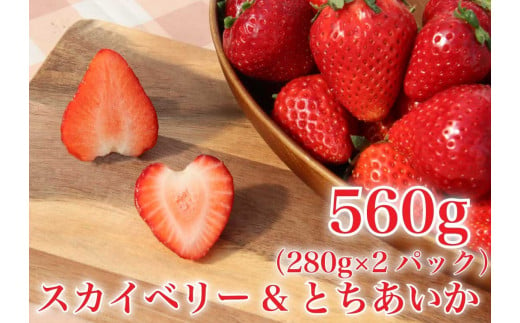 [2024年12月下旬から順次発送] 完熟朝摘みとちあいか 280gとスカイベリー280gの2パックセット｜いちご 苺 とちあいか スカイベリー フルーツ 果物 産地直送 先行予約 [0597]