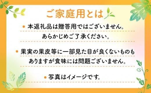 【訳あり】ご家庭用小原紅早生みかん(大玉)　約2.5kg【10月下旬～1月下旬配送予定】