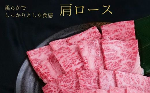 しまね和牛 焼肉用3種セット （肩ロース、カルビ、モモ）セット 900g 【黒毛和牛  おすすめ 冷凍 和牛オリンピック 肉質NO.1】