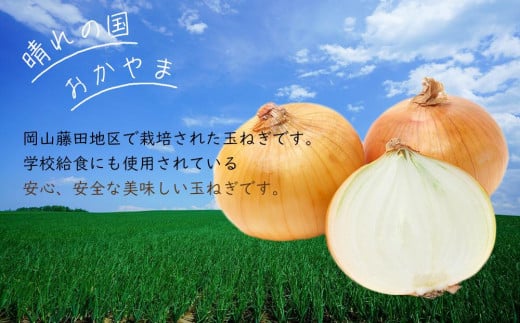 玉ねぎ 岡山市産 約10kg 2025年 先行予約  野菜 たまねぎ タマネギ オニオン