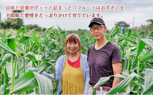 【 のざわ農園 】 ドライほおずき  約20g × 3袋 北海道 日高産 フルーツほおずき 「 太陽の子 」