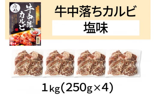 お肉屋さんの中落ちカルビ（塩味）1kg小分け対応（250g×4パック）