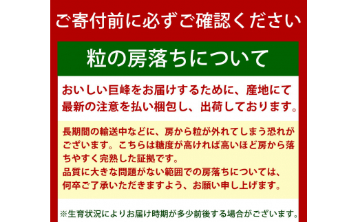 紀州和歌山産 巨峰ぶどう 約2kg ※2025年8月下旬頃〜2025年9月上旬頃に順次発送 ※日付指定不可 巨峰 ぶどう ブドウ 葡萄 果物 くだもの フルーツ【uot784A】