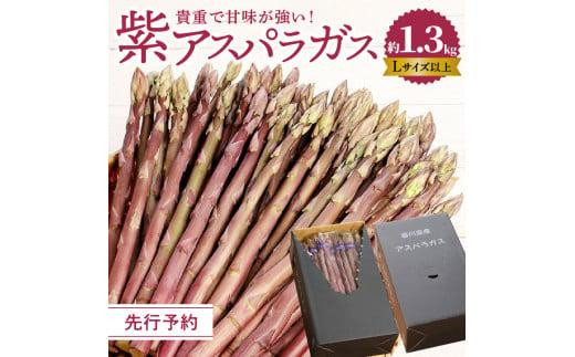 貴重で甘みが強い ! 紫 アスパラガス ( Lサイズ 以上 ) 約1.3kg【2024-6月上旬～2024-10月中旬配送】