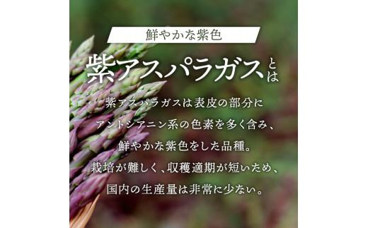 貴重で甘みが強い ! 紫 アスパラガス ( Lサイズ 以上 ) 約1.3kg【2024-6月上旬～2024-10月中旬配送】