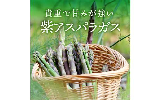 貴重で甘みが強い ! 紫 アスパラガス ( Lサイズ 以上 ) 約1.3kg【2024-6月上旬～2024-10月中旬配送】