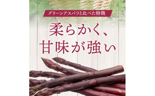 貴重で甘みが強い ! 紫 アスパラガス ( Lサイズ 以上 ) 約1.3kg【2024-6月上旬～2024-10月中旬配送】