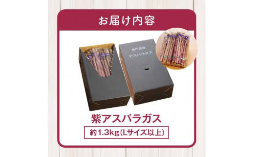 貴重で甘みが強い ! 紫 アスパラガス ( Lサイズ 以上 ) 約1.3kg【2024-6月上旬～2024-10月中旬配送】