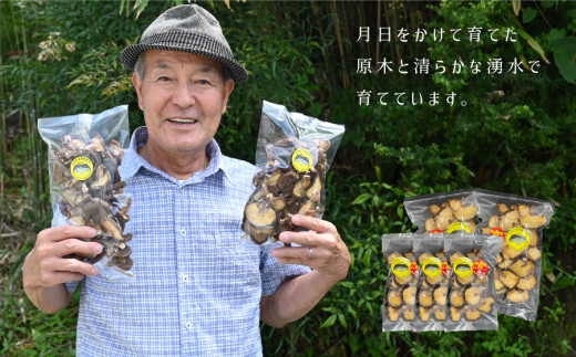 阿蘇・産山村産　原木乾燥しいたけ230g