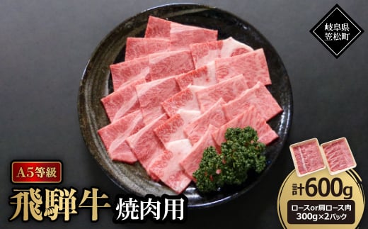 A5等級飛騨牛:焼肉用600g　ロース又は肩ロース肉【1538010】