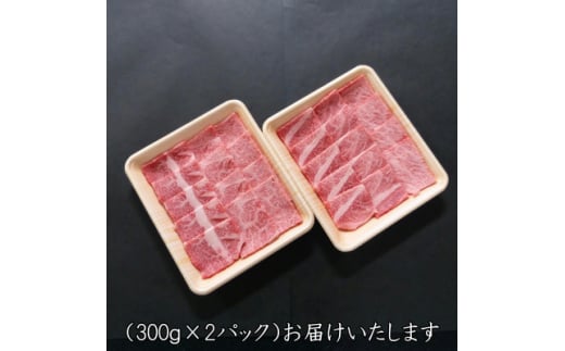 A5等級飛騨牛:焼肉用600g　ロース又は肩ロース肉【1538010】