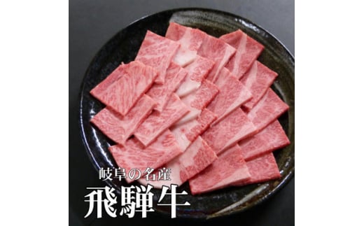 A5等級飛騨牛:焼肉用600g　ロース又は肩ロース肉【1538010】