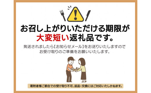 【先行予約】≪浜茹で≫ 地物！天然！越前がに 大サイズ（約1kg） × 1杯 かにスプーン付き 【2024年12月上旬以降順次発送予定】 はるか丸厳選！獲れたて！茹でたてをお届けします！【冷蔵 本場の味 ボイル 越前ガニ 蟹 茹で ずわいがに ズワイガニ 福井 日本海】 [m36-x005_12]