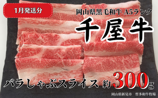 千屋牛 バラしゃぶスライス(約300g) 牧場直送便 A5をお届けします。