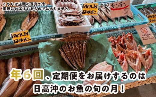 ＜定期便6回＞北海道産 旬 の お魚 4~5種  定期便 お魚 魚 旬のお魚 お楽しみ セット