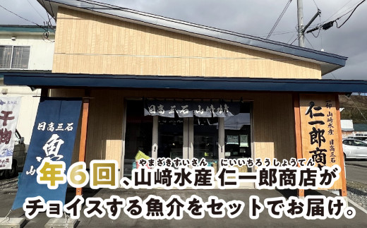 ＜定期便6回＞北海道産 旬 の お魚 4~5種  定期便 お魚 魚 旬のお魚 お楽しみ セット