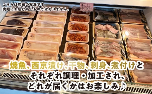 ＜定期便6回＞北海道産 旬 の お魚 4~5種  定期便 お魚 魚 旬のお魚 お楽しみ セット