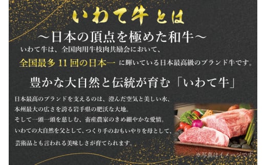 サーロインステーキ 600g (3枚入り) いわて牛 黒毛和牛 ステーキ サーロイン 国産 和牛 牛肉 ブランド牛 赤身 ギフト 冷凍 (AB034-3)