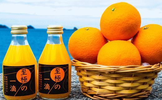 【無添加】田村みかんの新鮮100％ジュース「至極の一滴」180ml×12本入り★2024年1月下旬頃より順次発送【TM20】