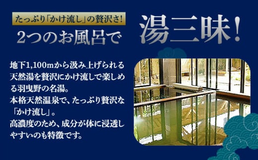 天然温泉華の湯入浴券 25枚《30日以内に出荷予定(土日祝除く)》大阪府 羽曳野市　天然温泉 華の湯