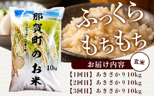 【定期便3回】那賀町のお米 (玄米）あきさかり10kg［徳島 那賀 国産 お米 こめ おこめ 米 精米 ご飯 ごはん 玄米 10kg 10キロ げんまい げん米 和食 おにぎり お弁当 あきさかり アキサカリ 父の日 敬老の日 お中元 お歳暮 ギフト 送料無料］【YS-21】 